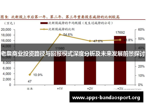 老詹商业投资路径与回报模式深度分析及未来发展前景探讨