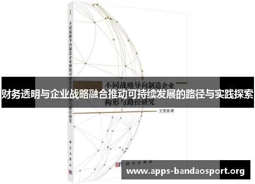 财务透明与企业战略融合推动可持续发展的路径与实践探索