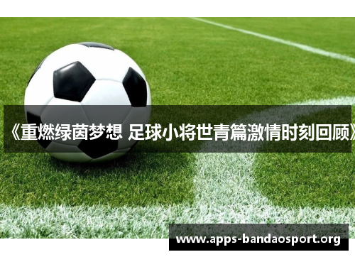 《重燃绿茵梦想 足球小将世青篇激情时刻回顾》