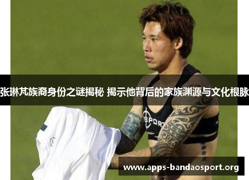 张琳芃族裔身份之谜揭秘 揭示他背后的家族渊源与文化根脉