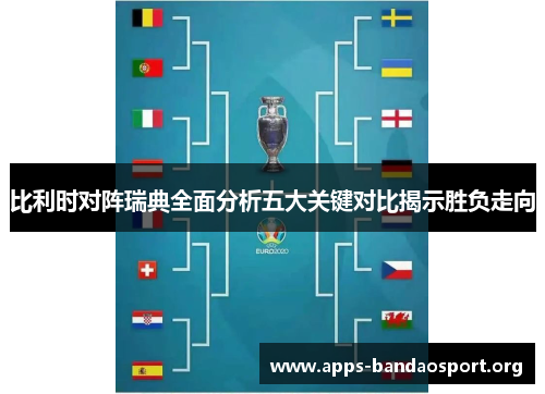 比利时对阵瑞典全面分析五大关键对比揭示胜负走向