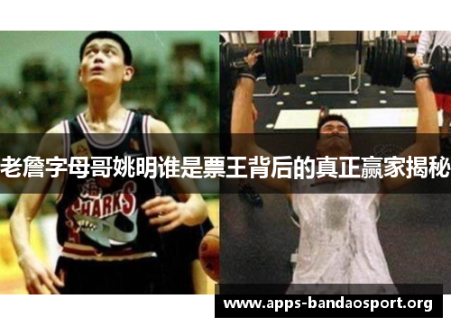 老詹字母哥姚明谁是票王背后的真正赢家揭秘