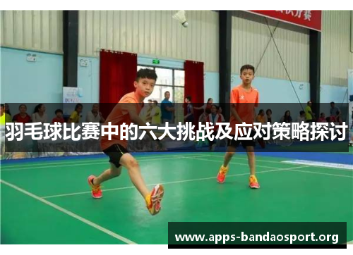 羽毛球比赛中的六大挑战及应对策略探讨