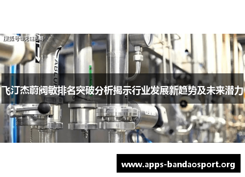 飞汀杰蔚阀敏排名突破分析揭示行业发展新趋势及未来潜力