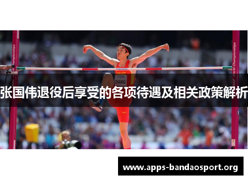 张国伟退役后享受的各项待遇及相关政策解析