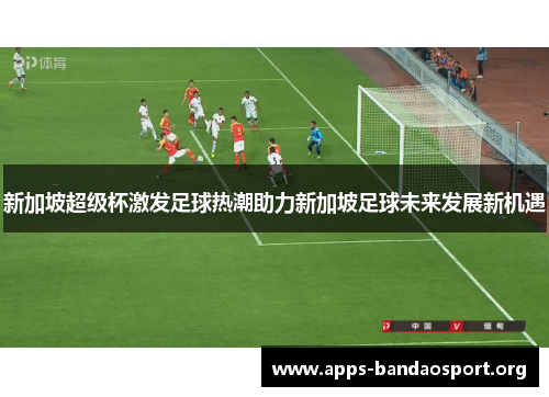 新加坡超级杯激发足球热潮助力新加坡足球未来发展新机遇