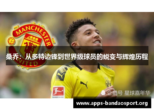 桑乔：从多特边锋到世界级球员的蜕变与辉煌历程